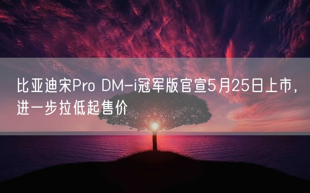 比亚迪宋Pro DM-i冠军版官宣5月25日上市，进一步拉低起售价